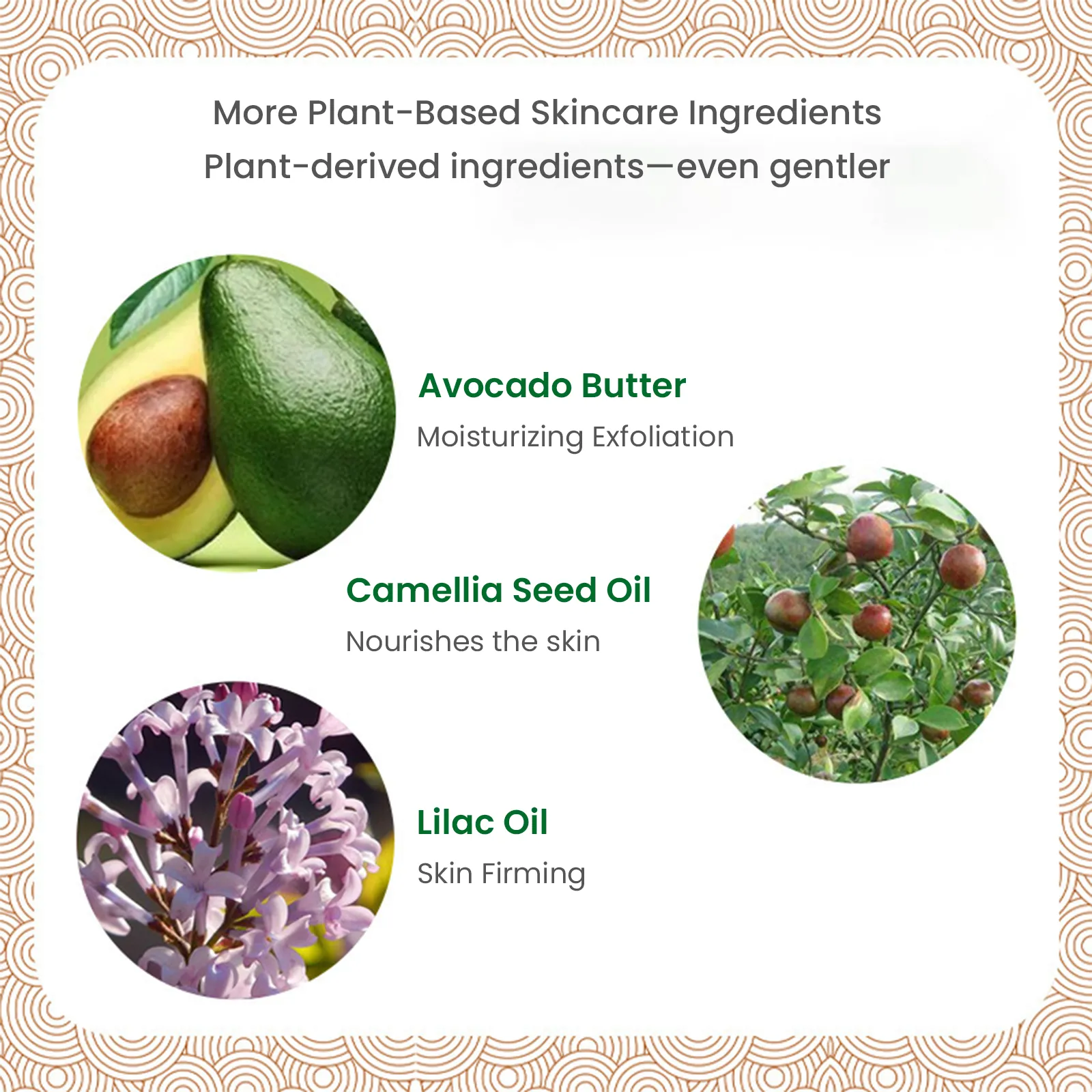 Dried Flower Petal & Essential Oil Bath Bomb 12PCS