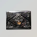 The Amber Sovereign Vault Case _ Silver Metal Hard-Shell Organizer—accessory with amber Sovereign Vault Silver Metal